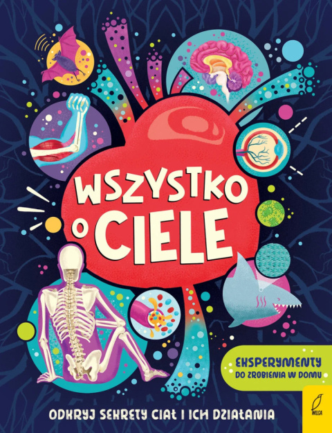 Wszystko o ciele - Tim Kennington